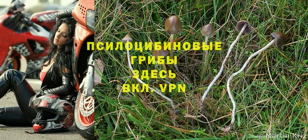 амф Богданович