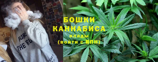 амф Богданович