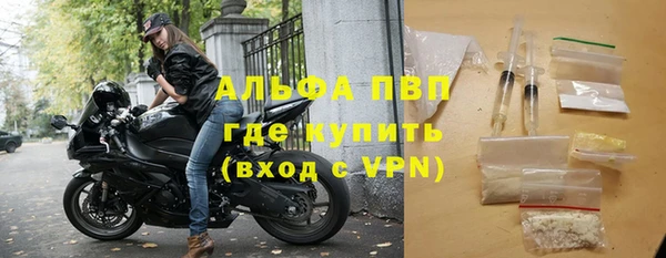 амф Богданович