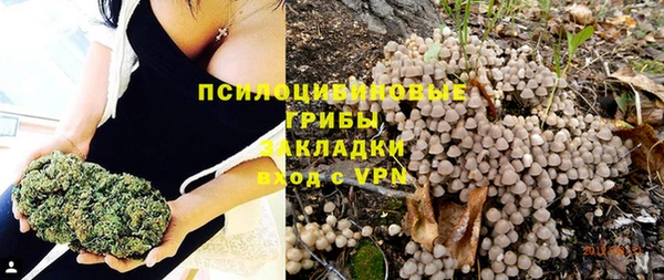 синтетический гашиш Богородицк