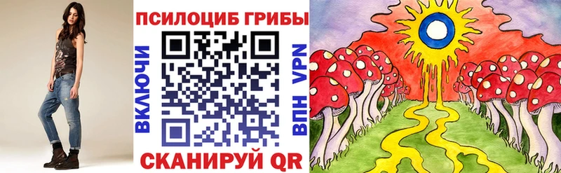 Псилоцибиновые грибы Magic Shrooms  где купить наркотик  Шарыпово 