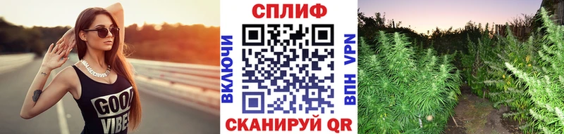 кракен как войти  Шарыпово  Каннабис Amnesia 